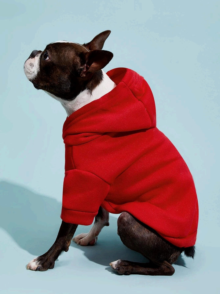 Dog Hoodie PDF Sewing Pattern