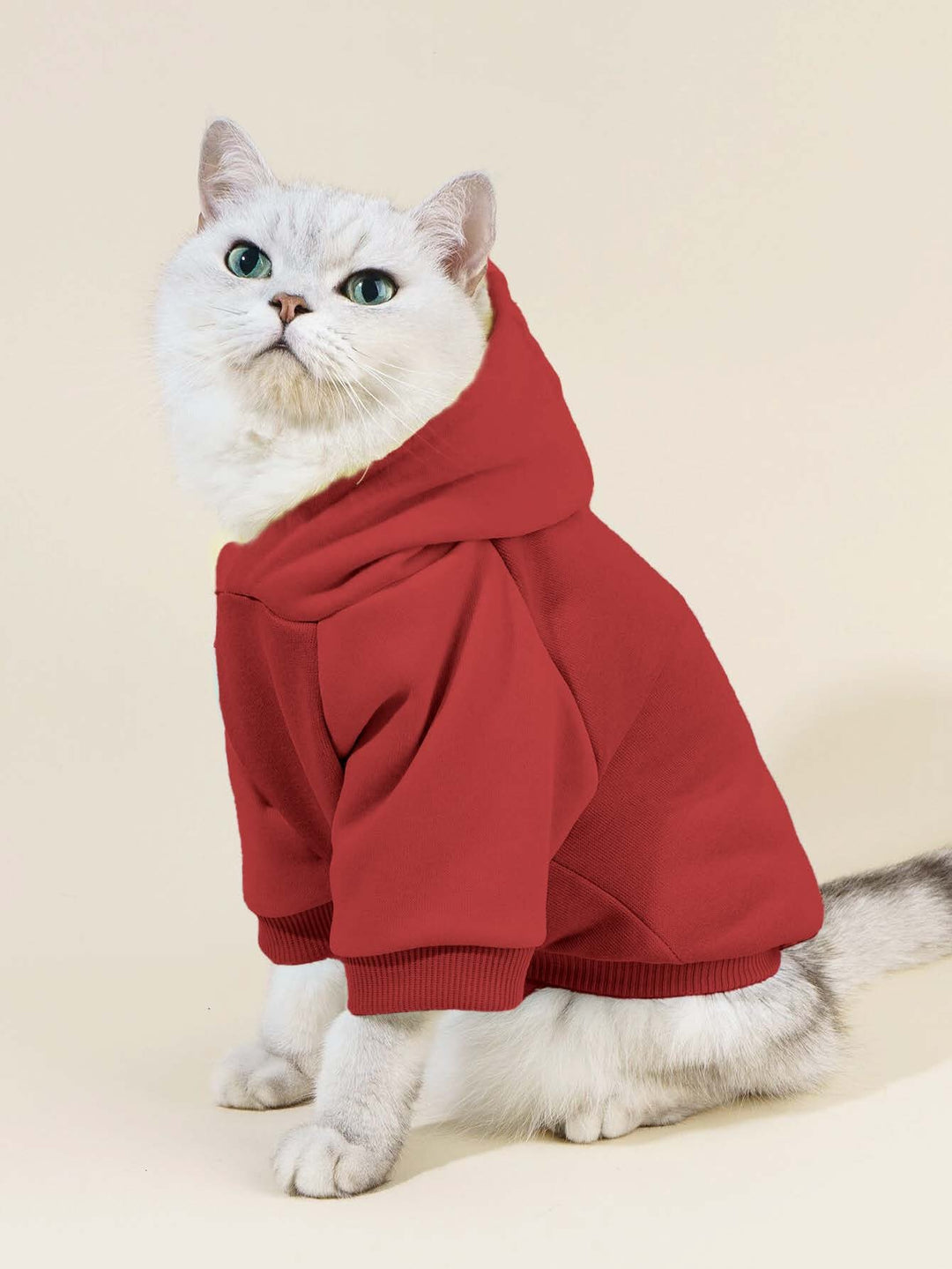 Cat Hoodie PDF Sewing Pattern