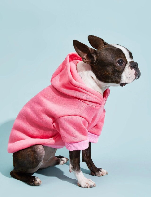 Dog Hoodie PDF Sewing Pattern