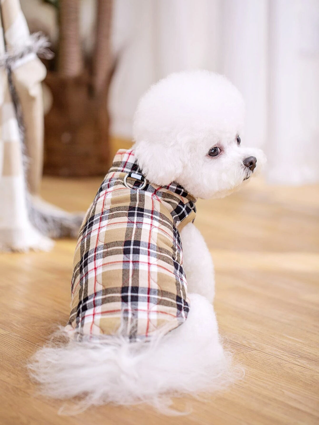 Dog Coat PDF Sewing Pattern