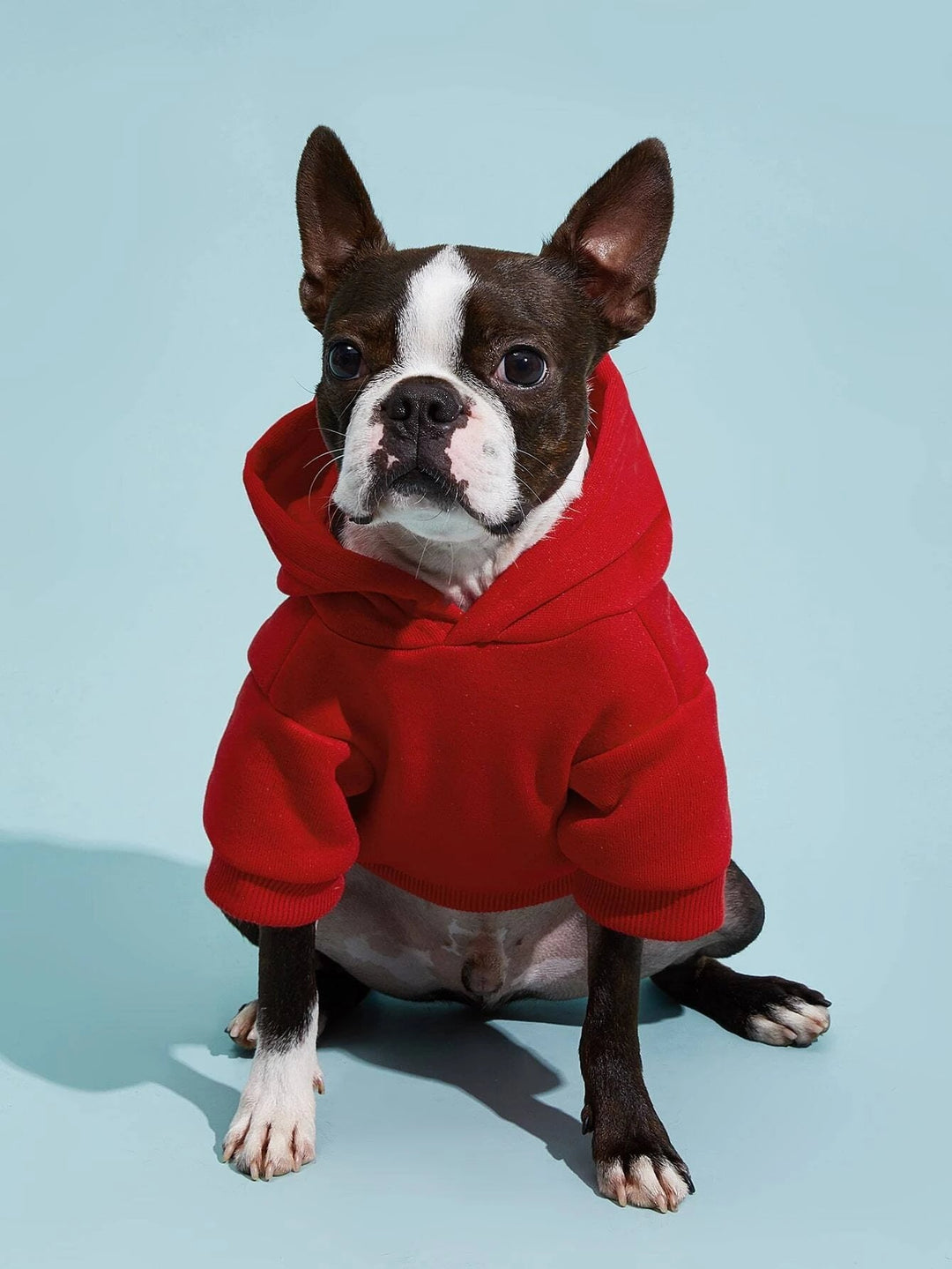 Dog Hoodie PDF Sewing Pattern